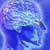 Examining the Future with Precognition